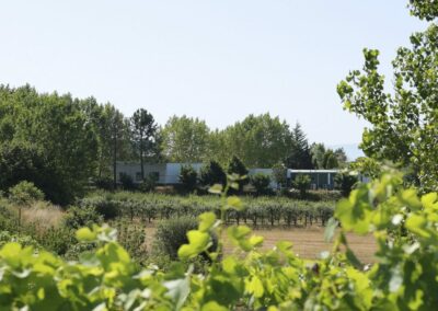 Escola Superior Agrária de Viseu