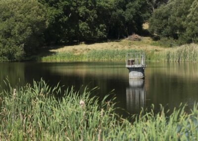 Escola Superior Agrária de Viseu
