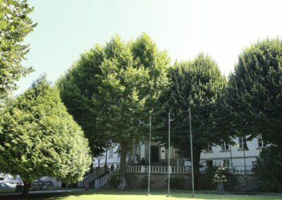 Escola Superior de Educação de Viseu