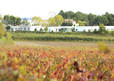 Escola Superior Agrária de Viseu