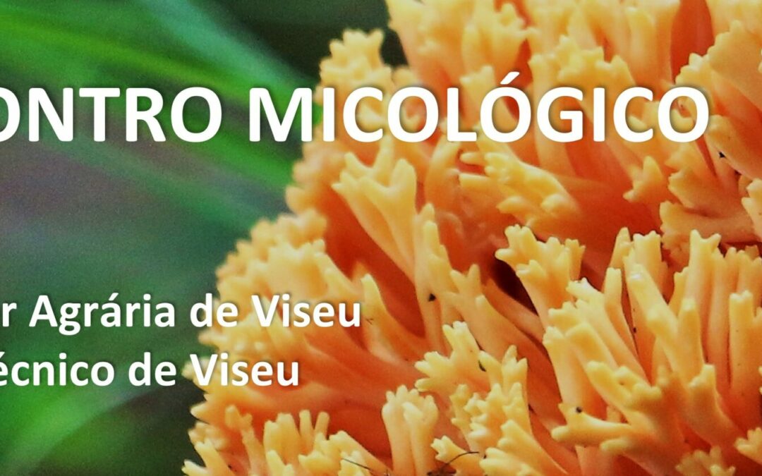 20ª edição do Encontro Micológico da ESAV