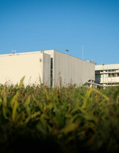 Instituto Politécnico de Viseu