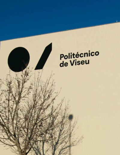 Instituto Politécnico de Viseu