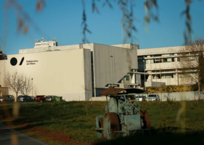 Instituto Politécnico de Viseu