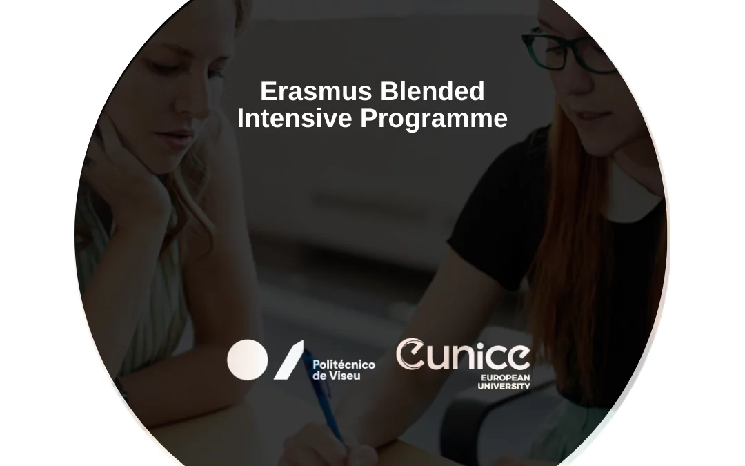 Blended Intensive Programmes (BIP)